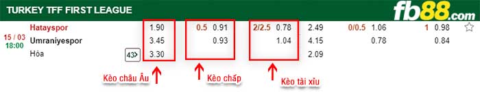 fb88-kèo chấp Hatayspor vs Umraniyespor