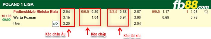 fb88-kèo chấp Podbeskidzie Bielsko Biala vs Warta Poznan