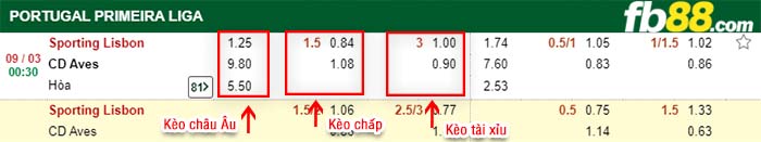 fb88-kèo chấp Sporting Lisbon vs CD Aves