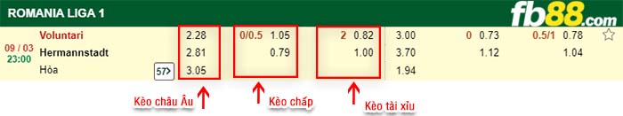 fb88-kèo chấp Voluntari vs Hermannstadt