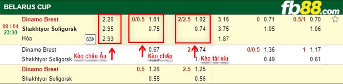 fb88-kèo chấp Dinamo Brest vs Shakhtyor Soligorsk