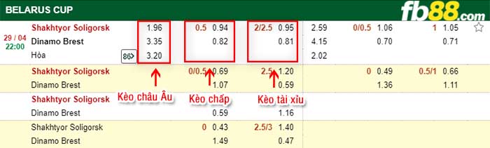 fb88-kèo chấp Shakhtyor Soligorsk vs Dinamo Brest