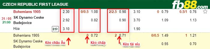 fb88-kèo chấp Bohemians 1905 vs Dynamo Ceske Budejovice