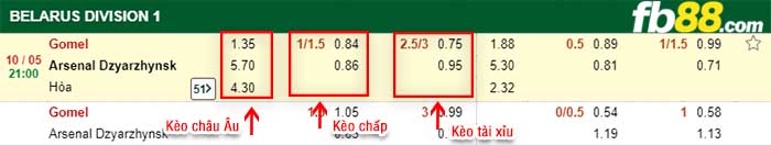 fb88-kèo chấp FC Gomel vs Arsenal Dzyarzhynsk