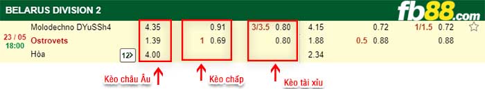 fb88-kèo chấp FC Molodechno vs FC Ostrovets