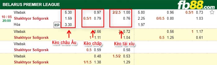 fb88-kèo chấp FK Vitebsk vs Shakhter Soligorsk