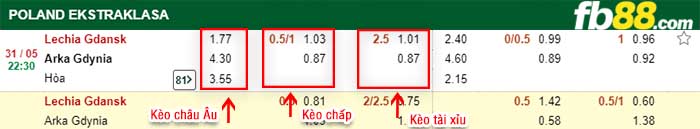 fb88-kèo chấp Lechia Gdansk vs Arka Gdynia