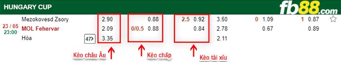 fb88-kèo chấp Mezokovesd Zsory vs MOL Fehervar
