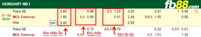 fb88-kèo chấp Paksi SE vs MOL Fehervar