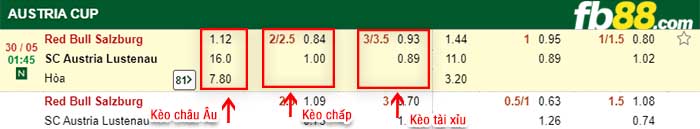 fb88-kèo chấp Red Bull Salzburg vs SC Austria Lustenau