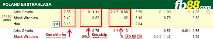 fb88-kèo chấp Arka Gdynia vs Slask Wroclawn