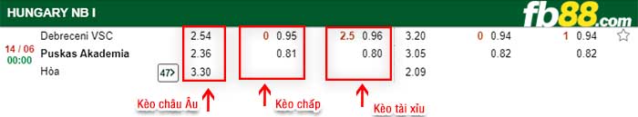 fb88-kèo chấp Debrecin VSC vs Videoton Puskas Akademia