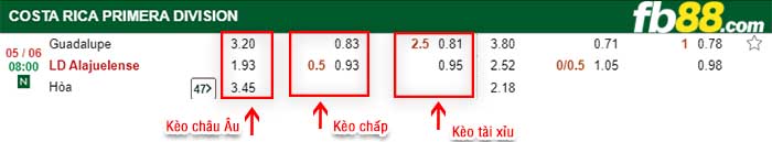 fb88-kèo chấp Guadalupe FC vs Alajuelense