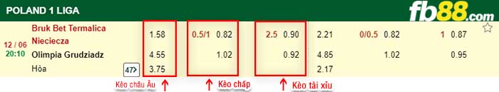 fb88-kèo chấp LKS Nieciecza vs Olimpia Grudziadz