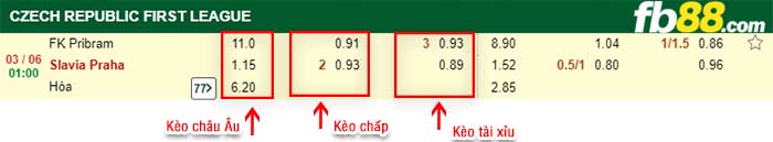 fb88-kèo chấp Marila Pribram vs Slavia Praha