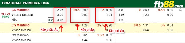 fb88 kèo chấp Maritimo vs Vitoria Setubal