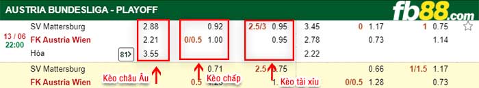fb88-kèo chấp Mattersburg vs Austria Wien