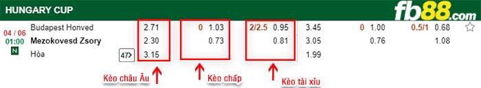 fb88-kèo chấp Mezokovesd Zsory vs Budapest Honved