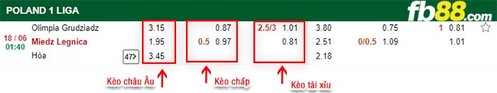 fb88-kèo chấp Olimpia Grudziadz vs Miedz Legnica