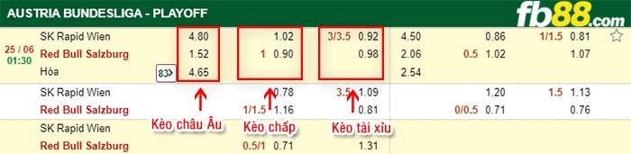 fb88-kèo chấp Rapid Wien vs Red Bull Salzburg