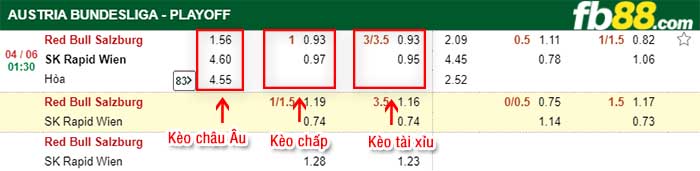 fb88-kèo chấp Red Bull Salzburg vs Rapid Wien