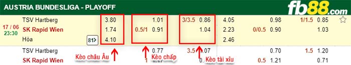 fb88-kèo chấp TSV Hartberg vs Rapid Wien