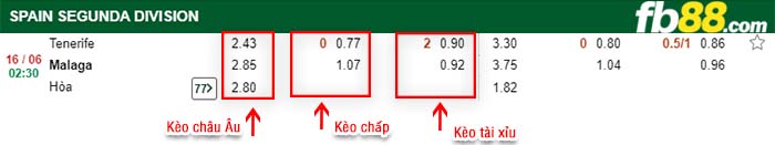 fb88-kèo chấp Tenerife vs Malaga