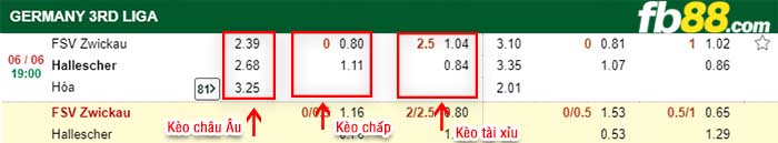 fb88-kèo chấp Zwickau vs Hallescher FC