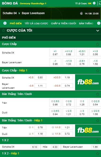 fb88-kèo nhà cái Schalke 04 vs Bayer Leverkusen