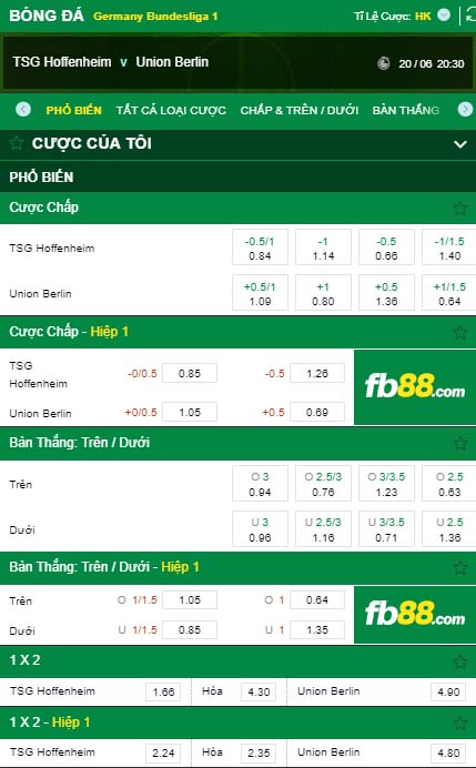 fb88-kèo nhà cái TSG Hoffenheim vs Union Berlin