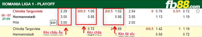 fb88-kẻo chấp Chindia Targoviste vs AFC Hermannstadt