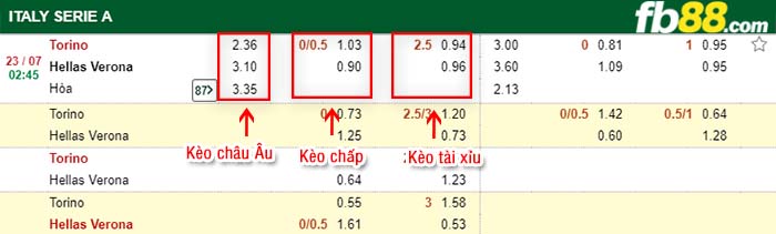 fb88-kèo chấp Torino vs Verona
