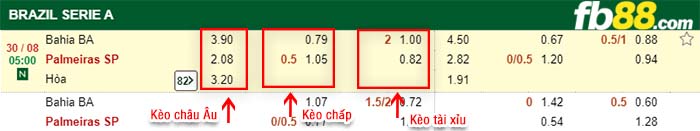 fb88-kèo chấp Bahia vs Palmeiras