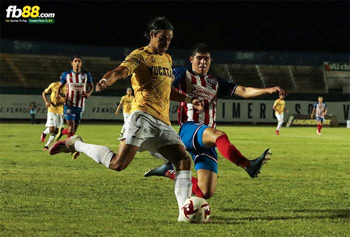 fb88-kèo chấp Tampico Madero vs Venados FC
