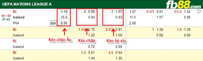 fb88-kèo chấp Bỉ vs Iceland