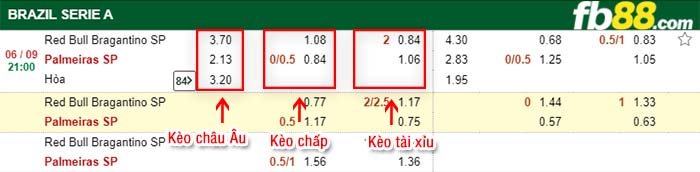fb88-kèo chấp Bragantino vs Palmeiras