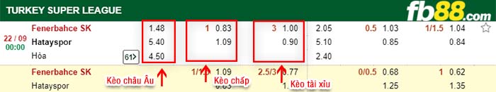 fb88-kèo chấp Fenerbahce vs Hatayspor