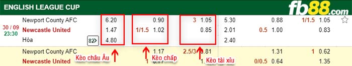 fb88-kèo chấp Newport County vs Newcastle United