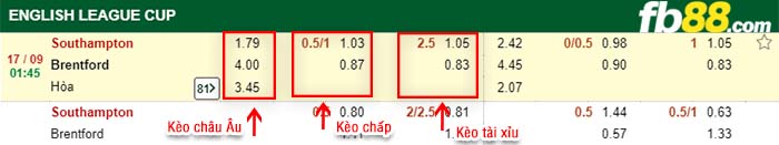 fb88-kèo chấp Southampton vs Brentford