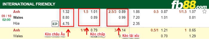 fb88-kèo chấp Anh vs Wales