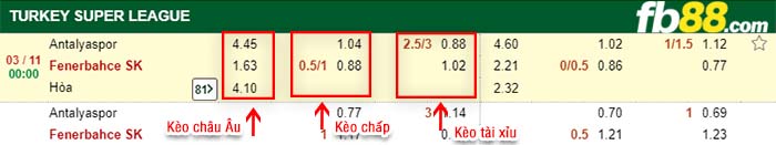fb88-kèo chấp Antalyaspor vs Fenerbahce