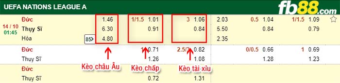 fb88-kèo chấp Duc vs Thuy Si