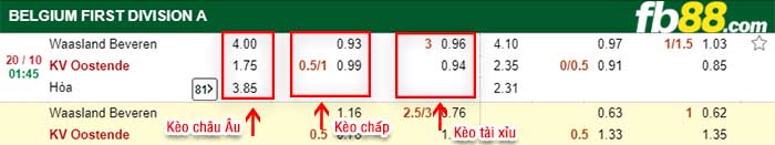 fb88-kèo chấp Red Star Waasland vs Oostende