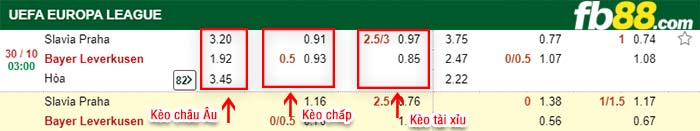 fb88-kèo chấp Slavia Praha vs Bayer Leverkusen