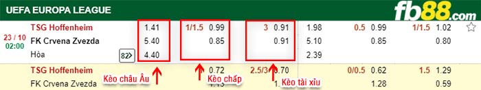 fb88-kèo chấp TSG Hoffenheim vs Crvena Zvezda