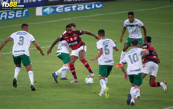 fb88-kèo nhà cái Flamengo vs Bragantino