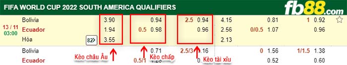 fb88-kèo chấp Bolivia vs Ecuador