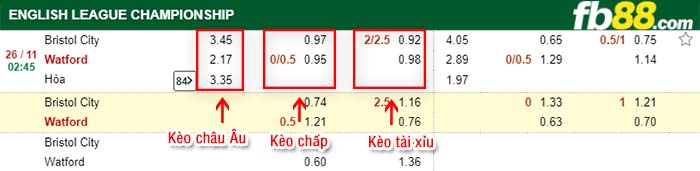 fb88-kèo chấp Bristol City vs Watford