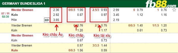 fb88-kèo chấp Werder Bremen vs Koln