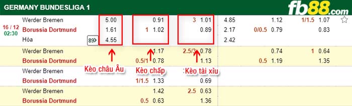 fb88-kèo chấp Bremen vs Dortmund